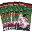 달란트어린이집 이미지