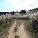 반여초교 이미지