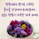 굿모닝 - 완주군 신리로 85 | 굿모닝