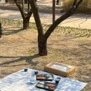 연지공원(체육관화장실) | 김해 연지공원 맛집 돈까스공업사 피크닉세트 봄 나들이