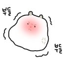 수미양가