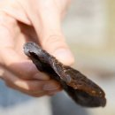 큰골영농조합법인 이미지