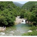 가평체육관 건너편 이미지