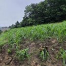 충주농업기술센터 이미지