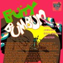 concert" FRUITY BUMBUM" 2010.4.10 이미지