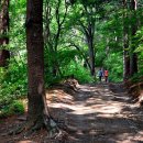 돌배나무 민박 이미지