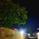 진도섬마을 이미지