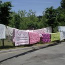 가경세탁 이미지