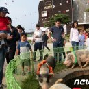 사보이관광호텔 이미지