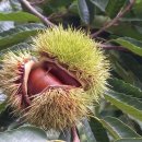 예쁜키즈어린이집 이미지