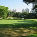 뉴코리아 이미지