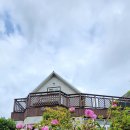 에그리나 이미지