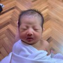 에바니아힐링케어양산지사 | 셋째 산후도우미 업체는 부산아**지에서!! (정부지원 산후도우미 온라인 신청방법)
