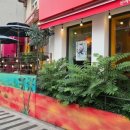 신머이베트남쌀국수 본점 이미지