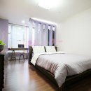디자인237 이미지