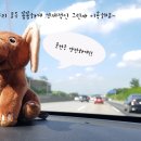 쌍용자동차시흥서비스프라자 이미지