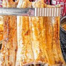 원주진장어 이미지