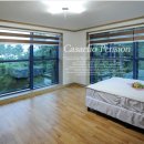 카사엘리오 이미지