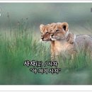 서지원농장 네이버블로그