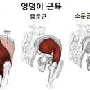 다나께바른몸바른자세