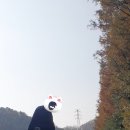 DRK골프아카데미 이미지