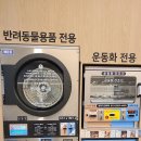 이지워시셀프빨래방분당 이미지