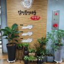 달성토성마을 다락방 작은도서관 | 달성토성마을다락방 카페&amp;도서관 책보며 차도 마시고 여유로운 시간보내기