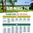 꿈에그린골프투어