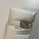 스탠다드도큐멘트