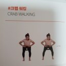 몸짱만들기 GYM 이미지
