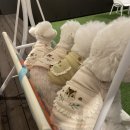 아띠멍멍 이미지