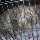 동궁장여관 이미지