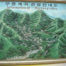 동해시-08 이미지