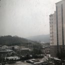 수눈
