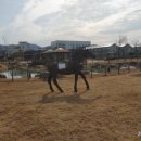 느티나무카페휴게식당 이미지
