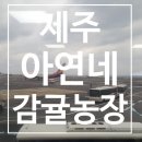 아연네감귤체험농장 이미지