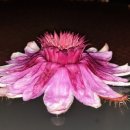 압량읍행정복지센터 이미지