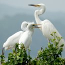 엄마밥줘 이미지