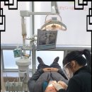 함박미소치과의원 네이버블로그