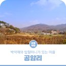 조현출행정사무소 | 박약재와 탑할머니가 있는 마을, &#39;공암리&#39; 마실 한 바퀴
