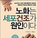 한림대학교 국제학대학원 네이버블로그