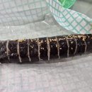 민트분식카페