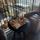 브레드9 | 춘천 베이커리 카페 버치앤브레드 빵지순례 세계주류마켓 후기