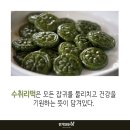 단오(5월 31일)엔 역시 수리취떡! 집에서 만드는 &#39;단오 전통떡 키트&#39; A to Z