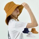 페르시안 캣 이미지