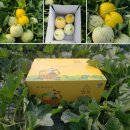 화니농장 이미지