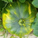 영이용소 이미지