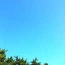 만년소녀 이미지