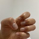 네일펠롱