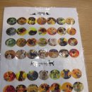 캣독카페 이미지